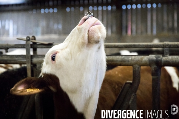 Bienvenue à la ferme !