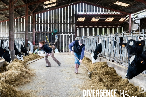 Bienvenue à la ferme !