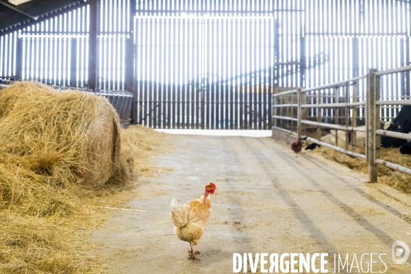 Bienvenue à la ferme !