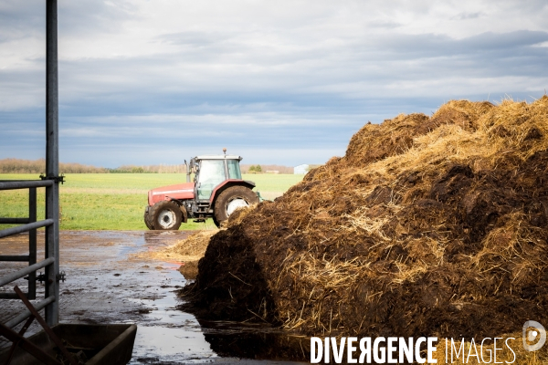 Bienvenue à la ferme !