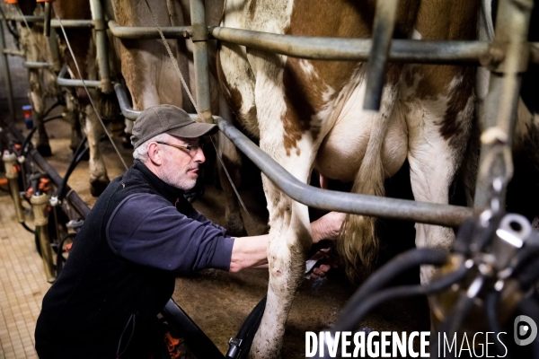 Bienvenue à la ferme !