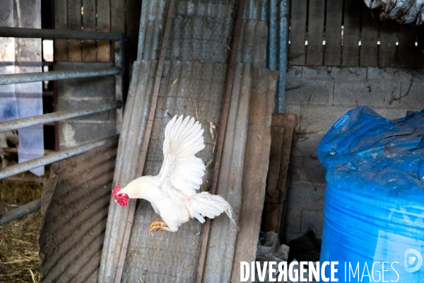 Bienvenue à la ferme !