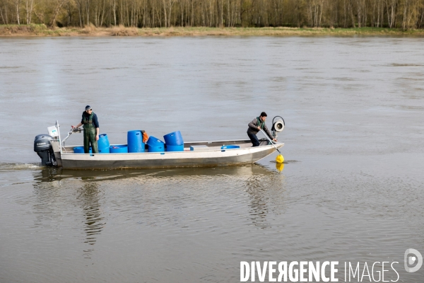 Pêcheur de Loire