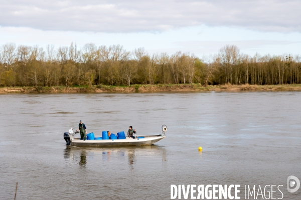 Pêcheur de Loire