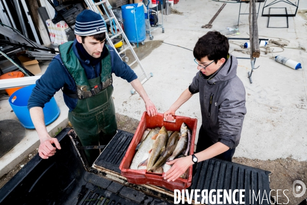 Pêcheur de Loire