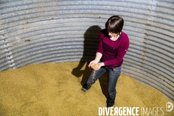 De la culture des céréales à la bière: brasserie artisanale bio bretonne