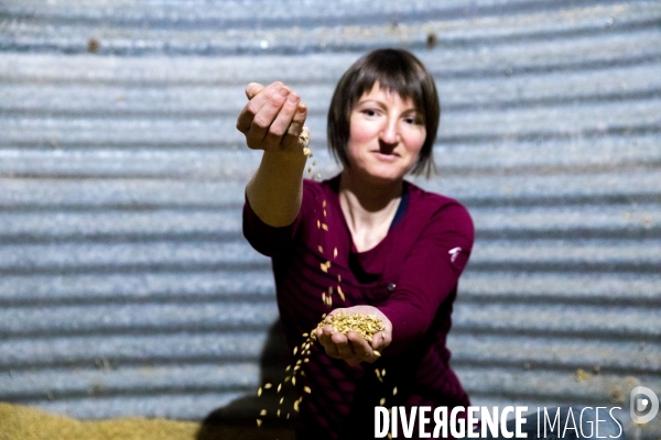 De la culture des céréales à la bière: brasserie artisanale bio bretonne