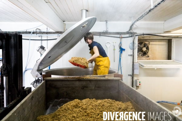 De la culture des céréales à la bière: brasserie artisanale bio bretonne