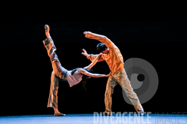 Nosferatu / Jean-Claude Gallotta