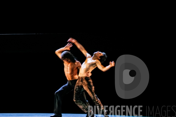 Nosferatu / Jean-Claude Gallotta