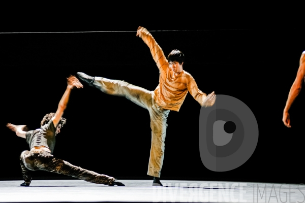 Nosferatu / Jean-Claude Gallotta