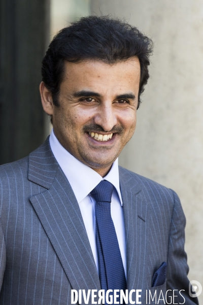 L émir du Quatar Cheikh Tamim bin Hamad bin Khalifa AL THANI à l Elysée.