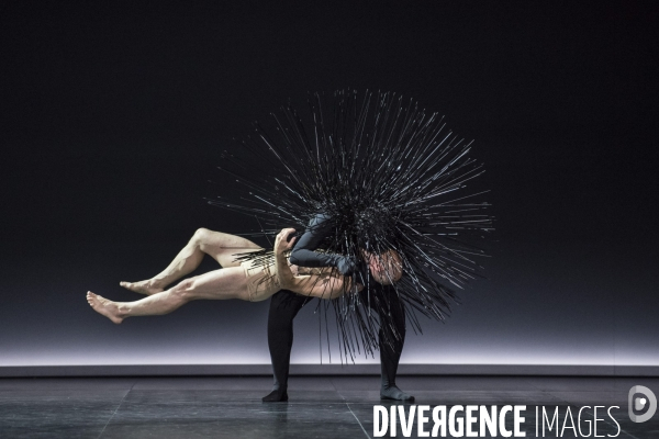 KREATUR de Sasha Waltz