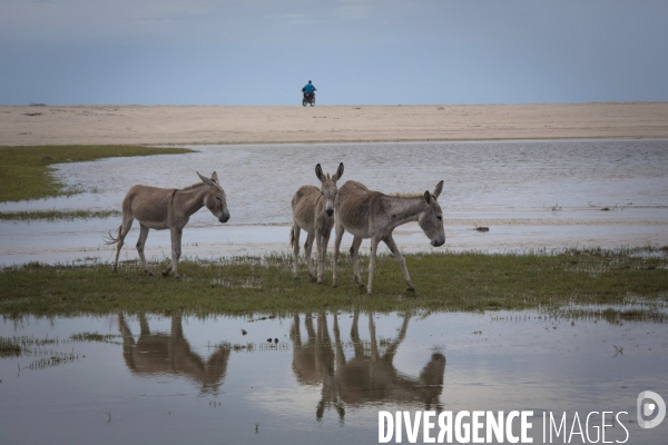 Jericoacoara new age city...ou presque !