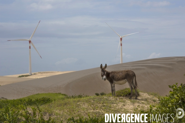 Bresil 2018 plages,pêcheurs et..buggies !