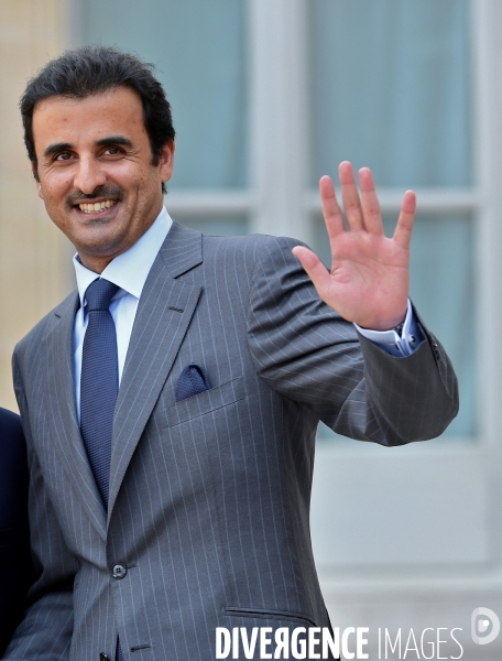 Le Cheikh Tamim bin Hamad Al Thani