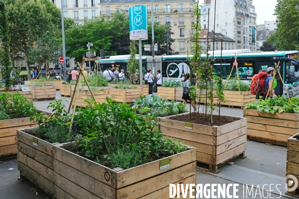 La station de metro et de RER Denfert Rochereau se met au vert