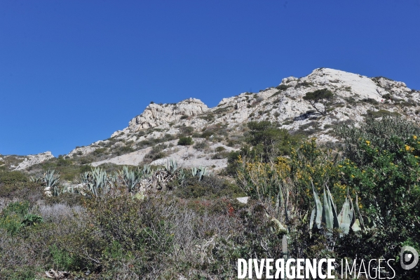 Calanque de Sormiou