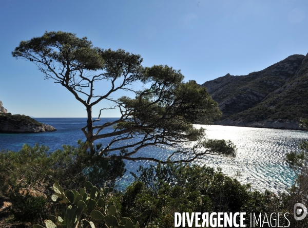 Calanque de Sormiou