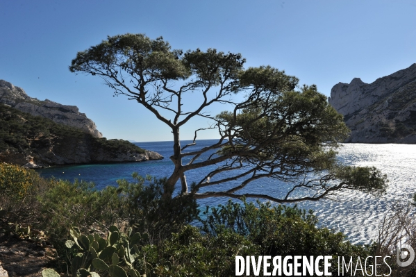 Calanque de Sormiou