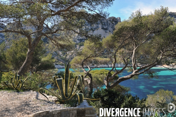 Calanque de Sormiou