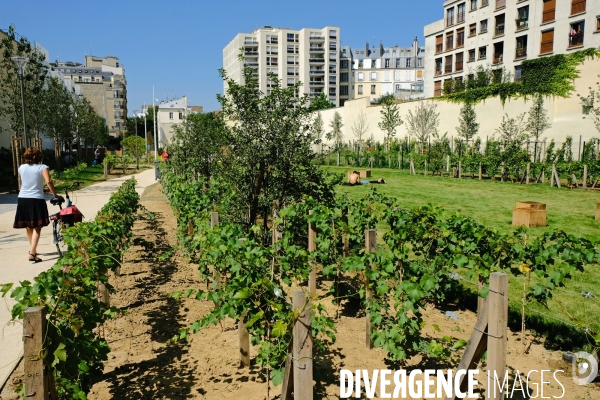 Un nouveau jardin dans le 11 eme arrondissement
