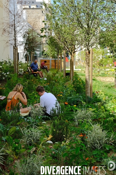 Un nouveau jardin dans le 11 eme arrondissement