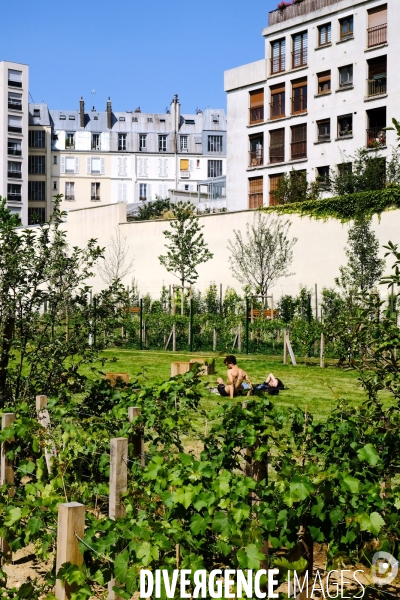 Un nouveau jardin dans le 11 eme arrondissement