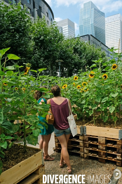 A l occasion de ses 60 ans, la Défense propose un parcours artistique sur l  esplanade.