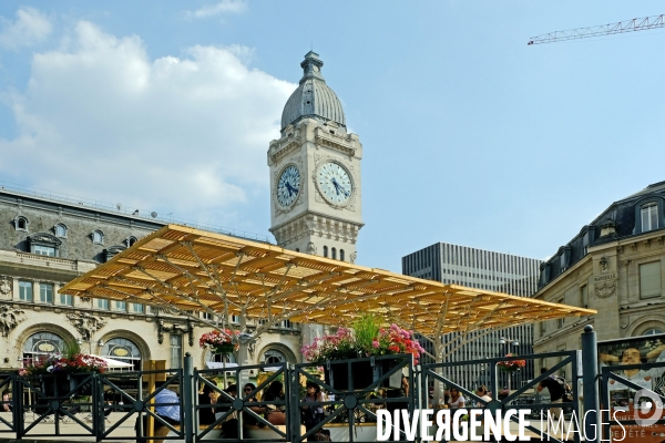 Zones d  ombre et canicule