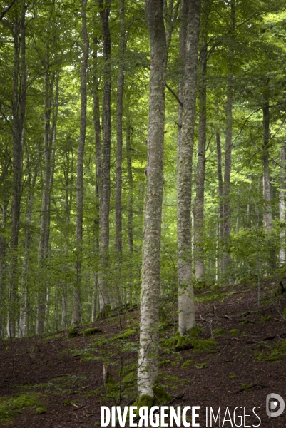 Ariège, la rando Pasaran