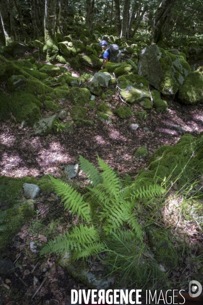 Ariège, la rando Pasaran