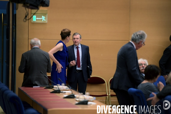 Audition de christophe castaner devant la commission d enquête du sénat