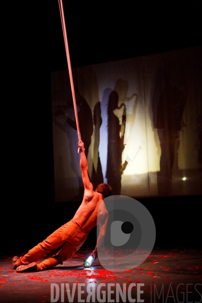 L atelier du peintre / Cirque plume