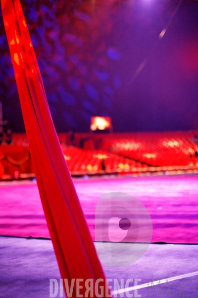 Festival du cirque de demain