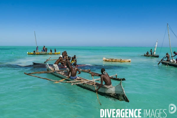 Chasse à la baleine à bosse par le peuple Vezo - Humpback Whale Hunt by the Vezo People