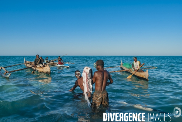 Chasse à la baleine à bosse par le peuple Vezo - Humpback Whale Hunt by the Vezo People