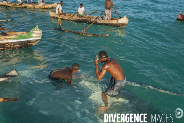 Chasse à la baleine à bosse par le peuple Vezo - Humpback Whale Hunt by the Vezo People