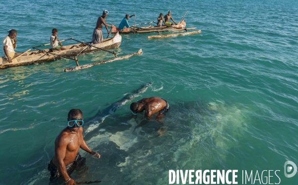 Chasse à la baleine à bosse par le peuple Vezo - Humpback Whale Hunt by the Vezo People