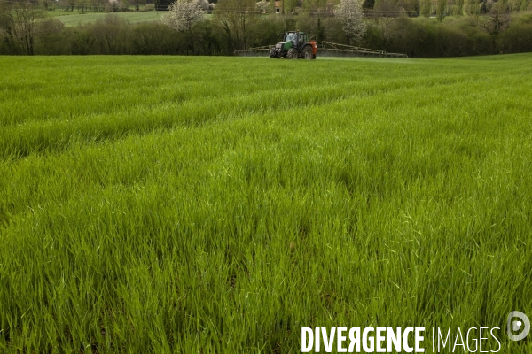 Epandage d herbicide antidicots pour céréales en sortie d hiver