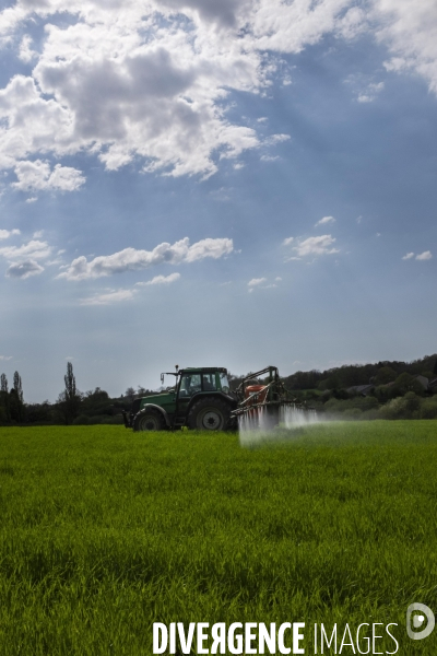 Epandage d herbicide antidicots pour céréales en sortie d hiver