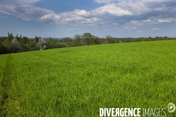 Epandage d herbicide antidicots pour céréales en sortie d hiver