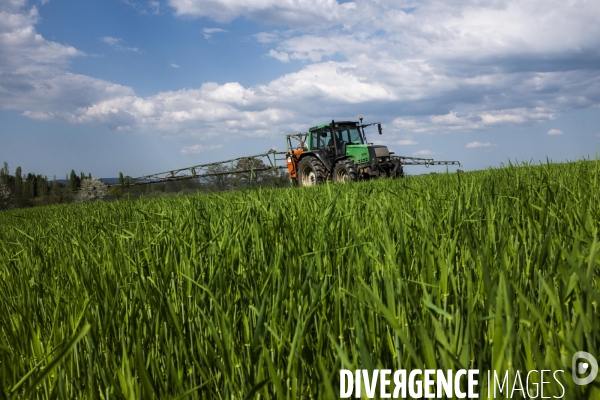 Epandage d herbicide antidicots pour céréales en sortie d hiver