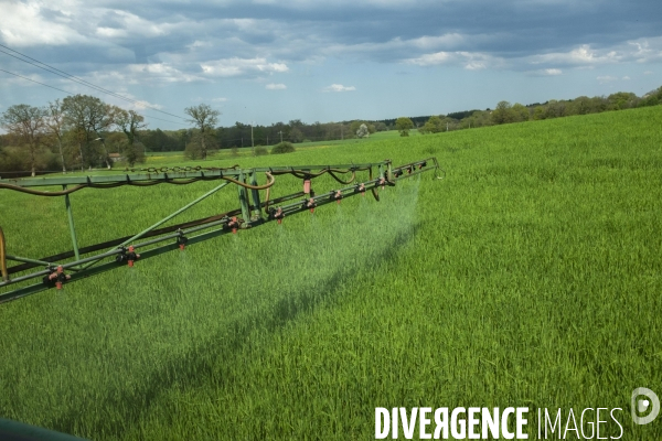 Epandage d herbicide antidicots pour céréales en sortie d hiver