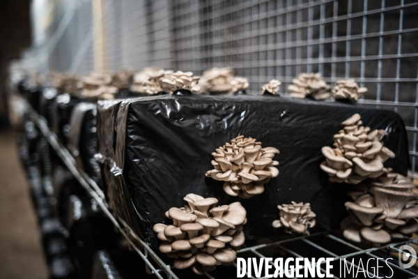 Le Bunker Comestible
