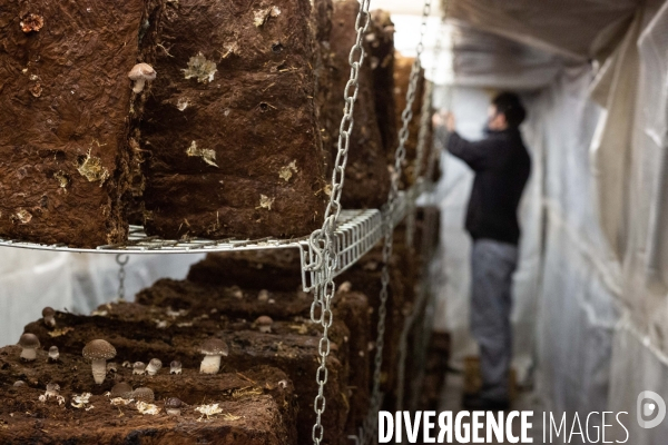 Le Bunker Comestible