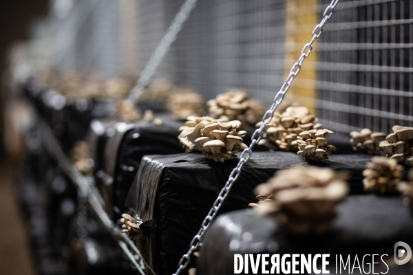 Le Bunker Comestible