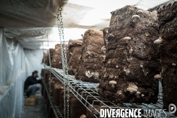 Le Bunker Comestible