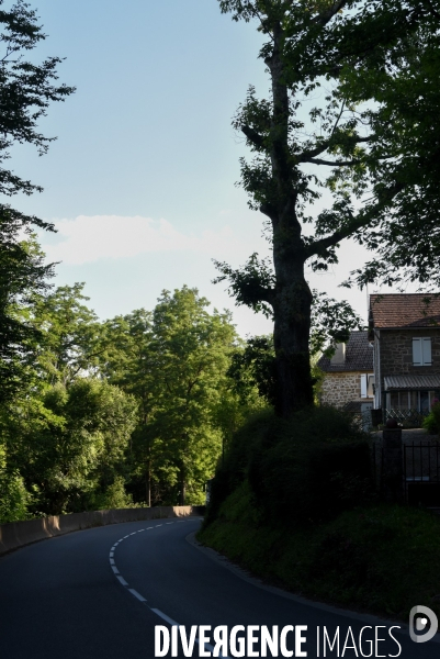 Elagage sur le bord des routes du département de la Corrèze