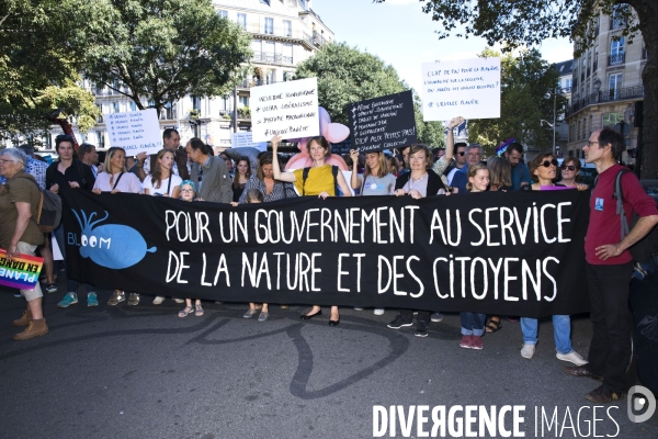 Marche pour le climat